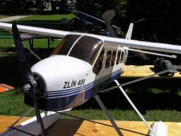 Lunz 2006