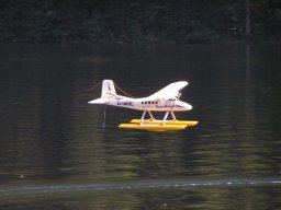Lunz 2006