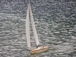 Lunz 2007