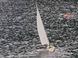 Lunz 2007