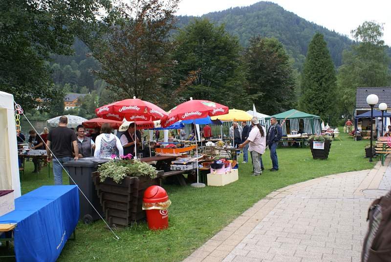 Lunz 2008