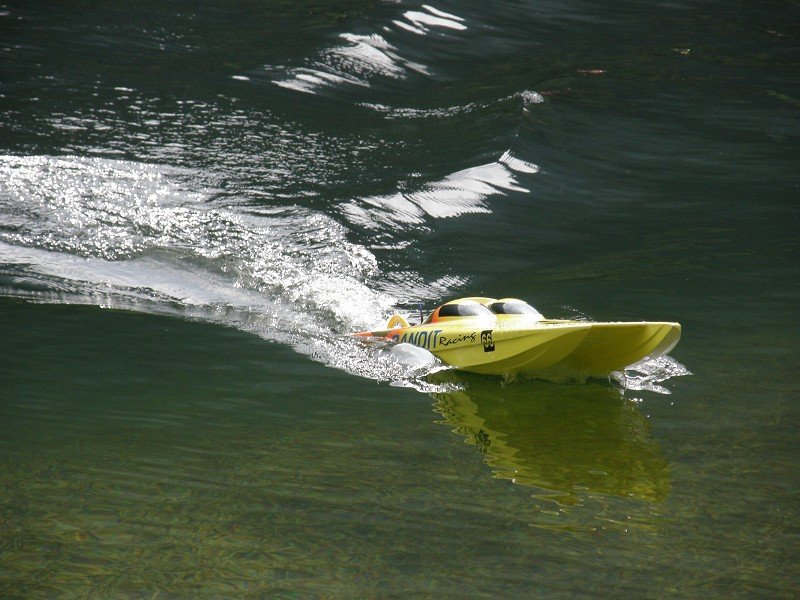 Lunz 2008