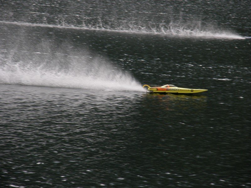 Lunz 2008