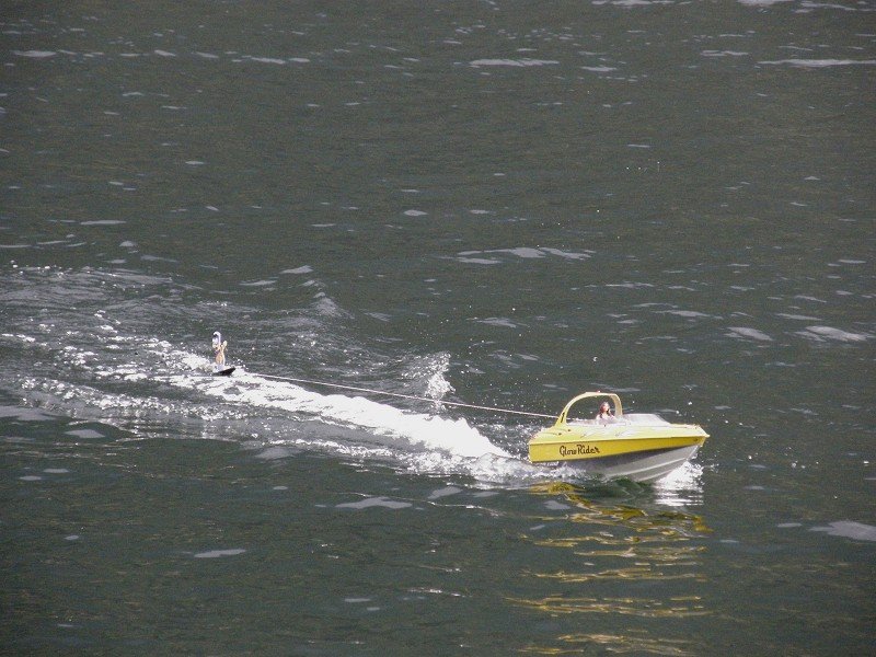 Lunz 2008
