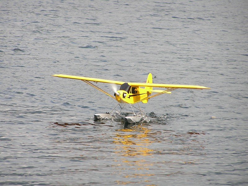 Lunz 2008