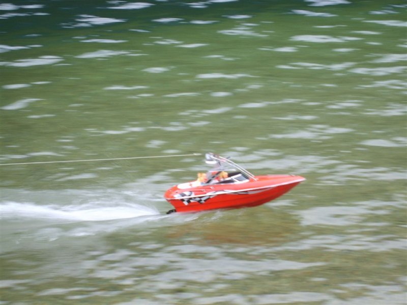 Lunz 2008