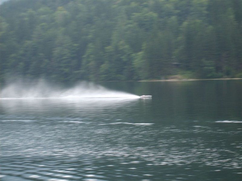 Lunz 2008