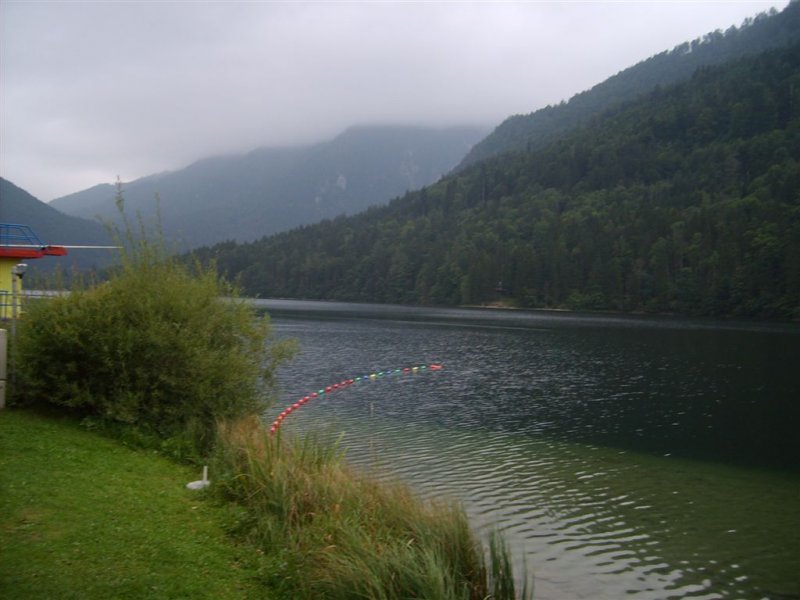 Lunz 2008