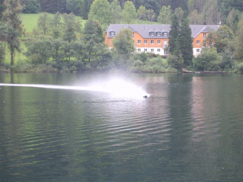 Lunz 2008