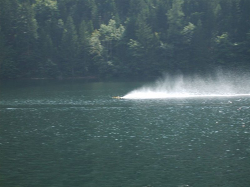 Lunz 2008