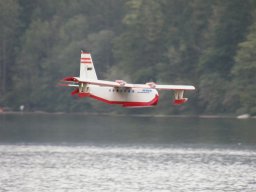 Lunz 2008