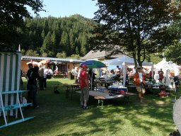 Lunz 2008