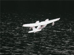 Lunz 2008