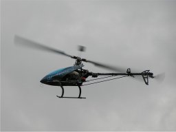 Lunz 2008