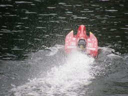 Lunz 2008