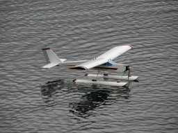 Lunz 2008