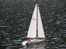 Lunz 2008