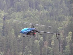 Lunz 2008