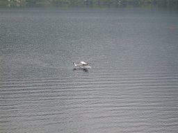 Lunz 2008