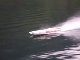 Lunz 2008