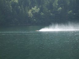 Lunz 2008