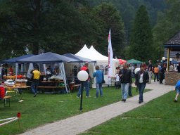 Lunz 2008