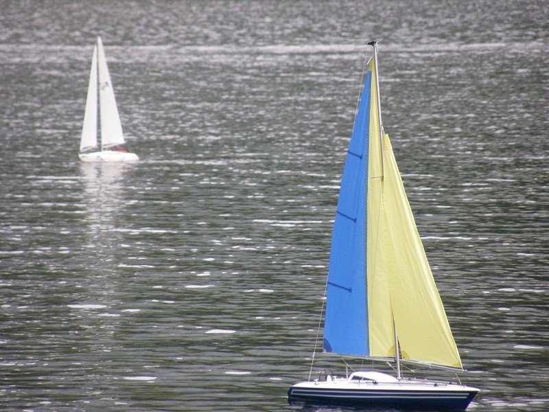Lunz 2009
