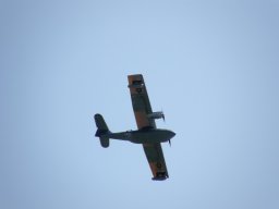 Lunz 2009