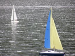 Lunz 2009