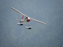 Lunz 2009