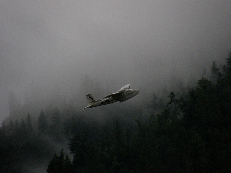 Lunz 2010