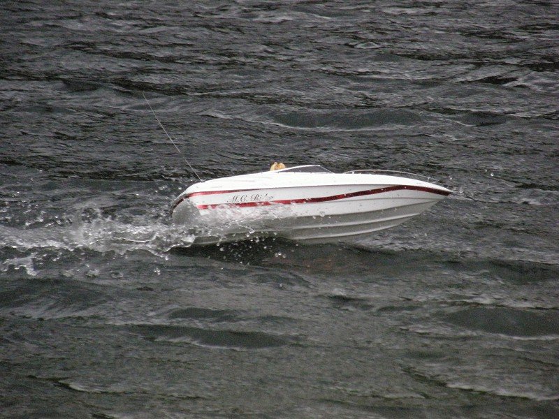 Lunz 2010