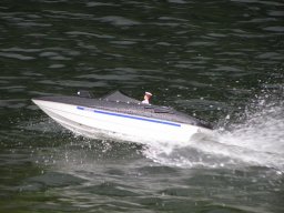 Lunz 2010