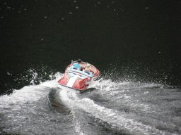 Lunz 2010
