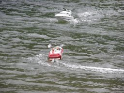 Lunz 2010