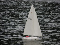 Lunz 2010