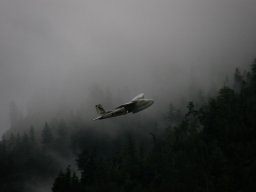 Lunz 2010