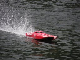 Lunz 2010