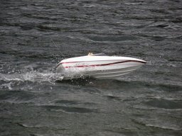 Lunz 2010