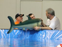 Messe Wels 2013